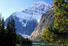 足球圈热门事件曝光，球迷关注度高涨