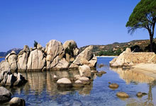 夺冠之路，豪情万丈，最强者终将傲视群雄！